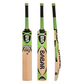 BS Gold 999 Bat
