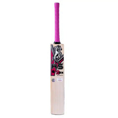 HS 2 Star Cricket Bat